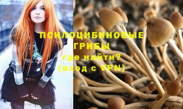 spice Остров