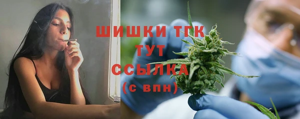 гидропоника Бородино